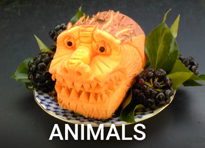 animals