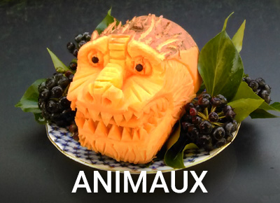 animals