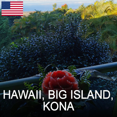 Bigisland Kona