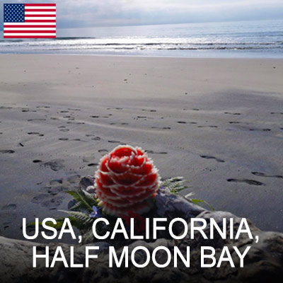 halfnmoonbay