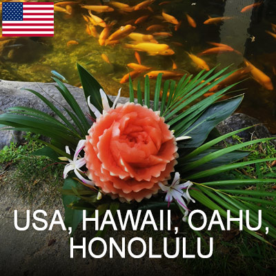 USA, California, Honolulu