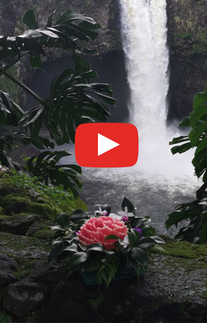 USA, Hawaii, Big Island, Hilo, Rainbow Falls